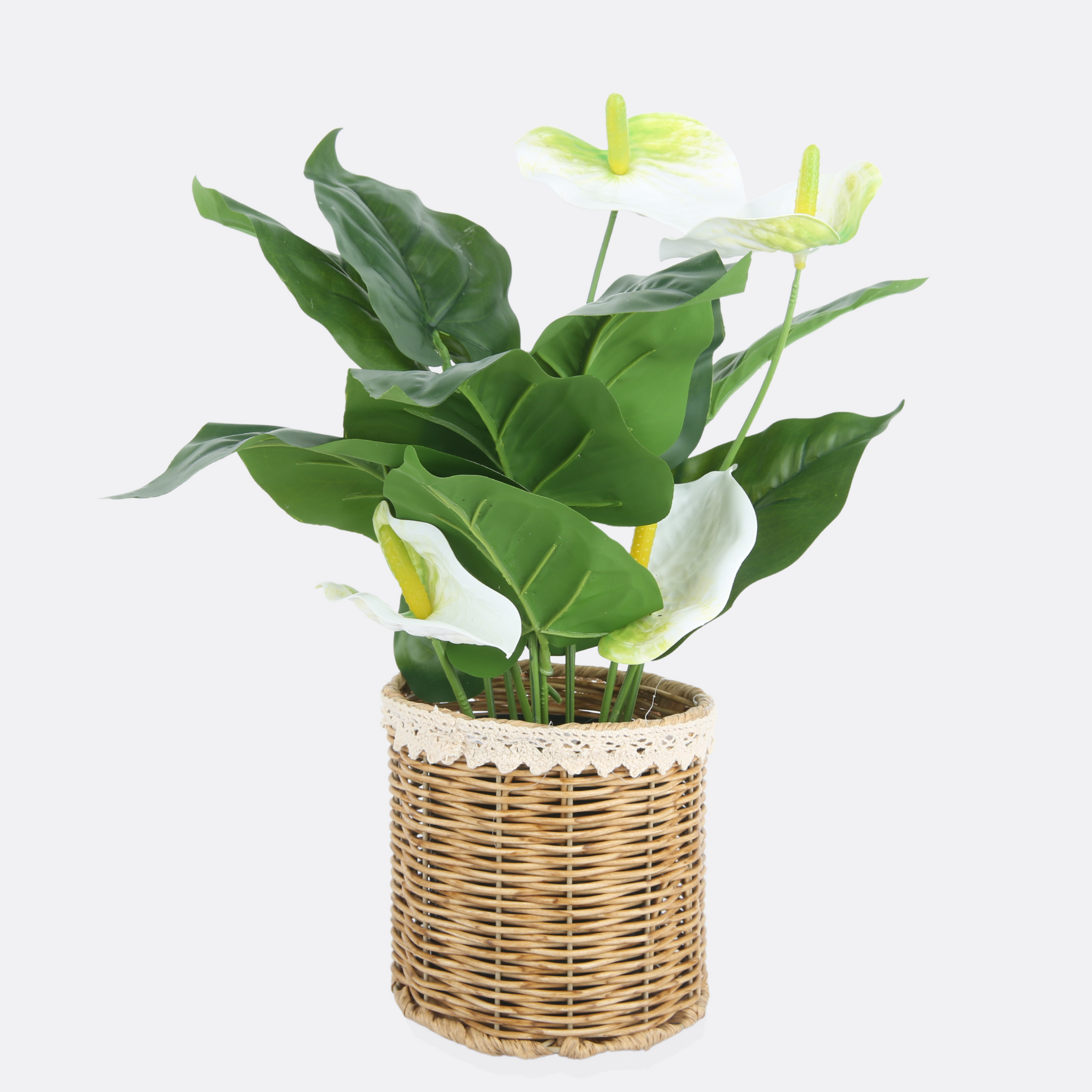 Stipule Planter With Cane Basket