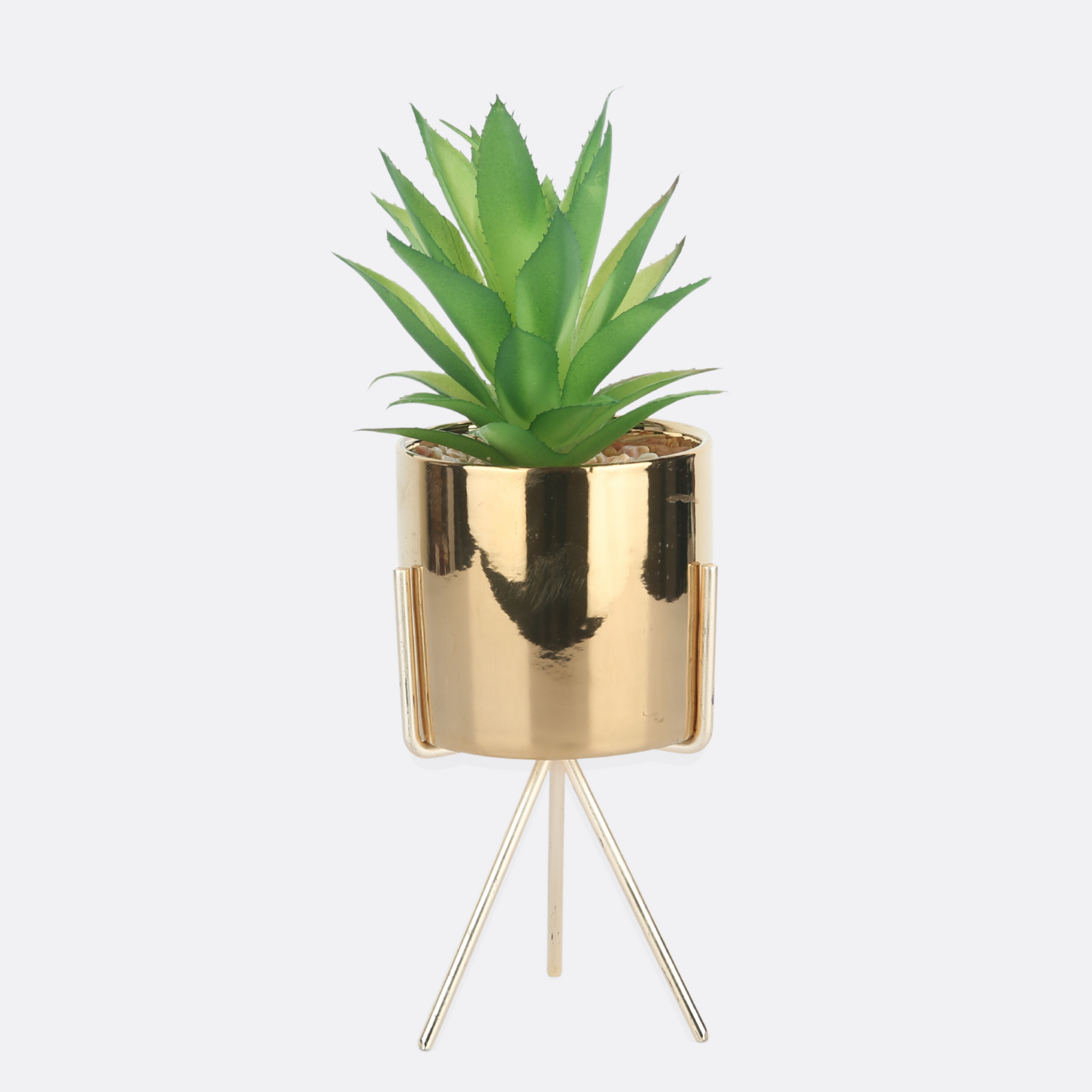 Planter with Golden Glossy Design pot
