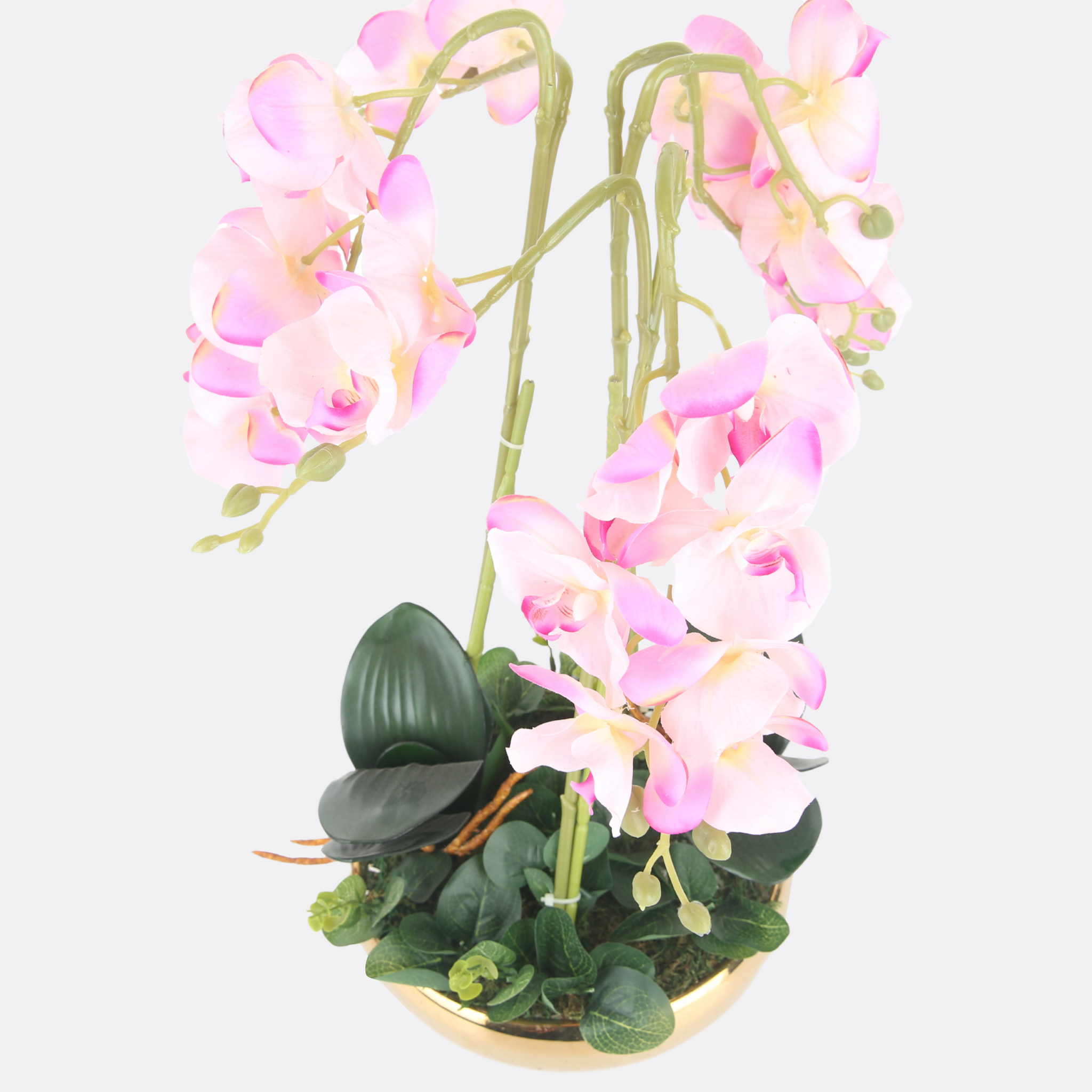 Thai Pink Orchard Plant In Ceramic Bowl