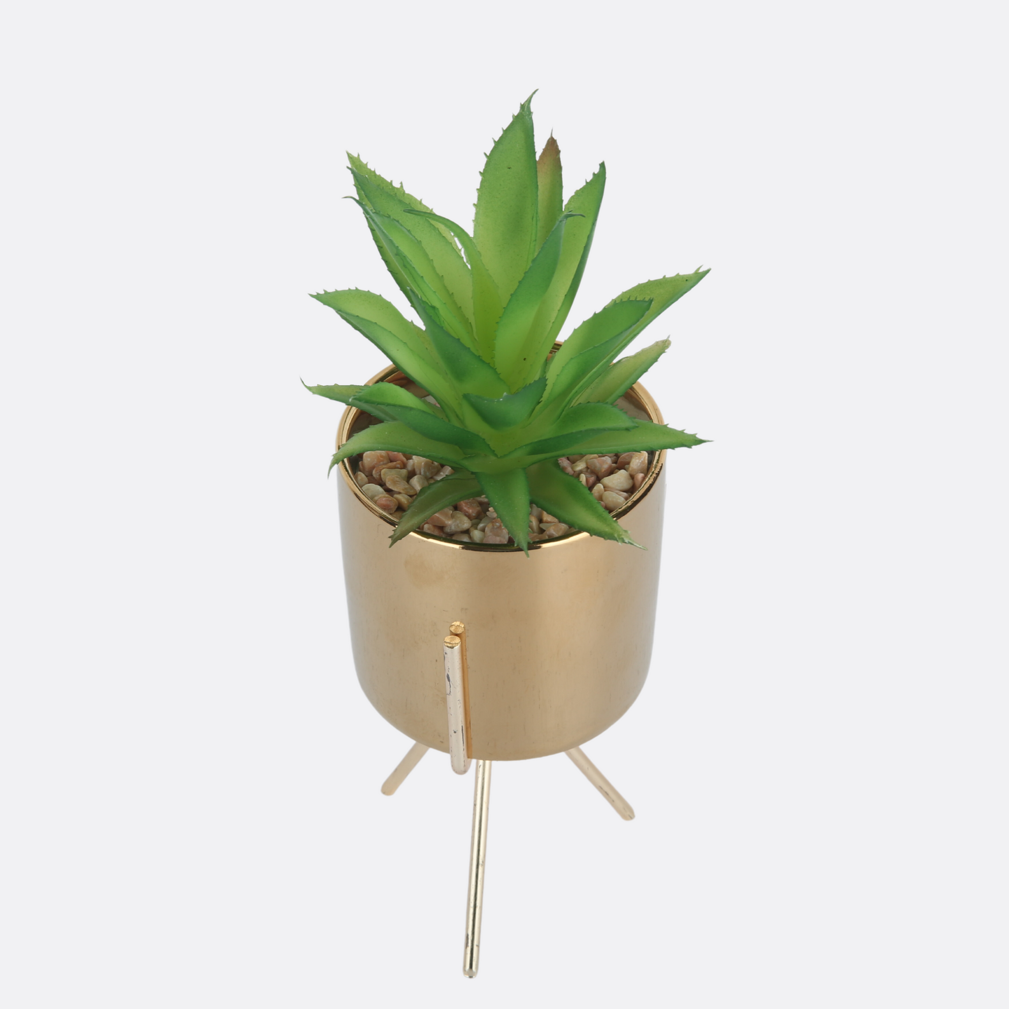 Planter with Golden Glossy Design pot
