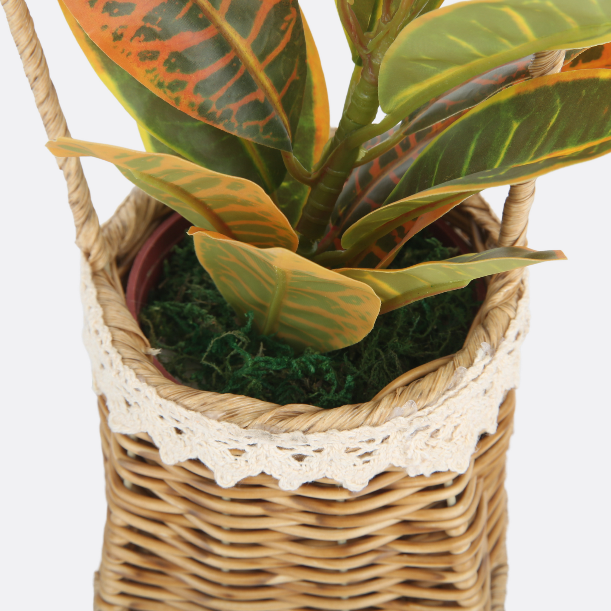 Cane Handle Basket With Pastoral Planter