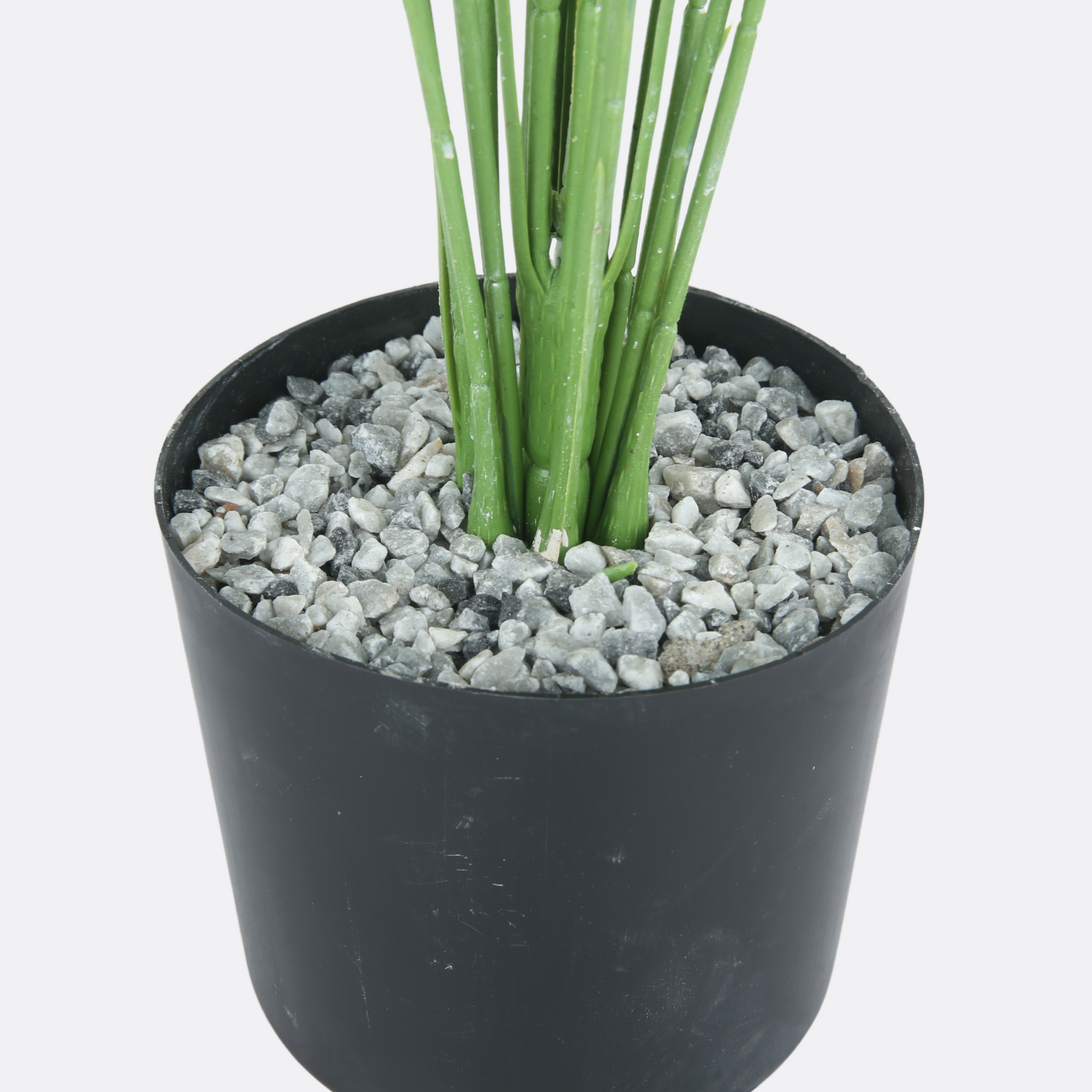 Spring Floor Plant Arrangement With Ductile Pot