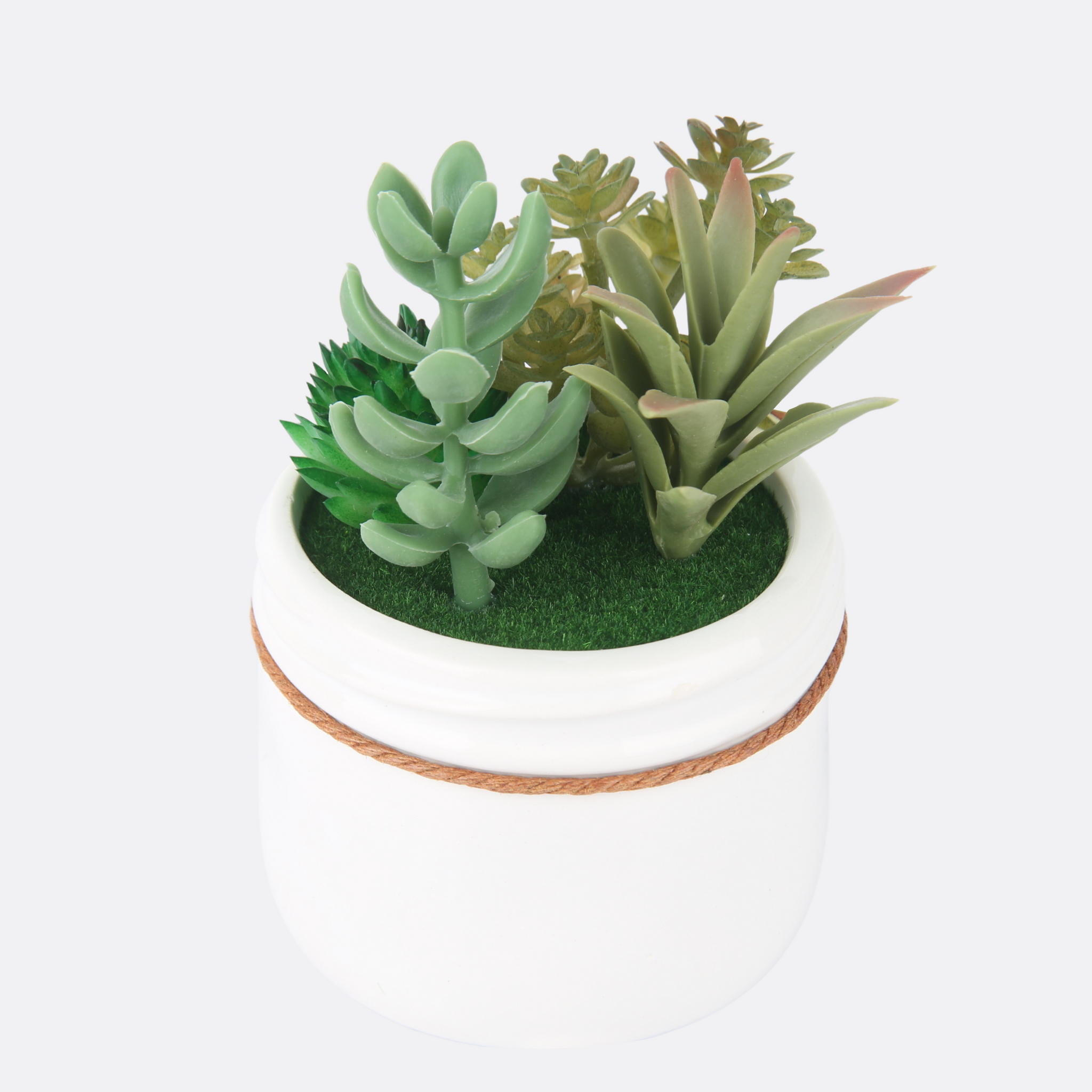 Discerning Planter With Pot