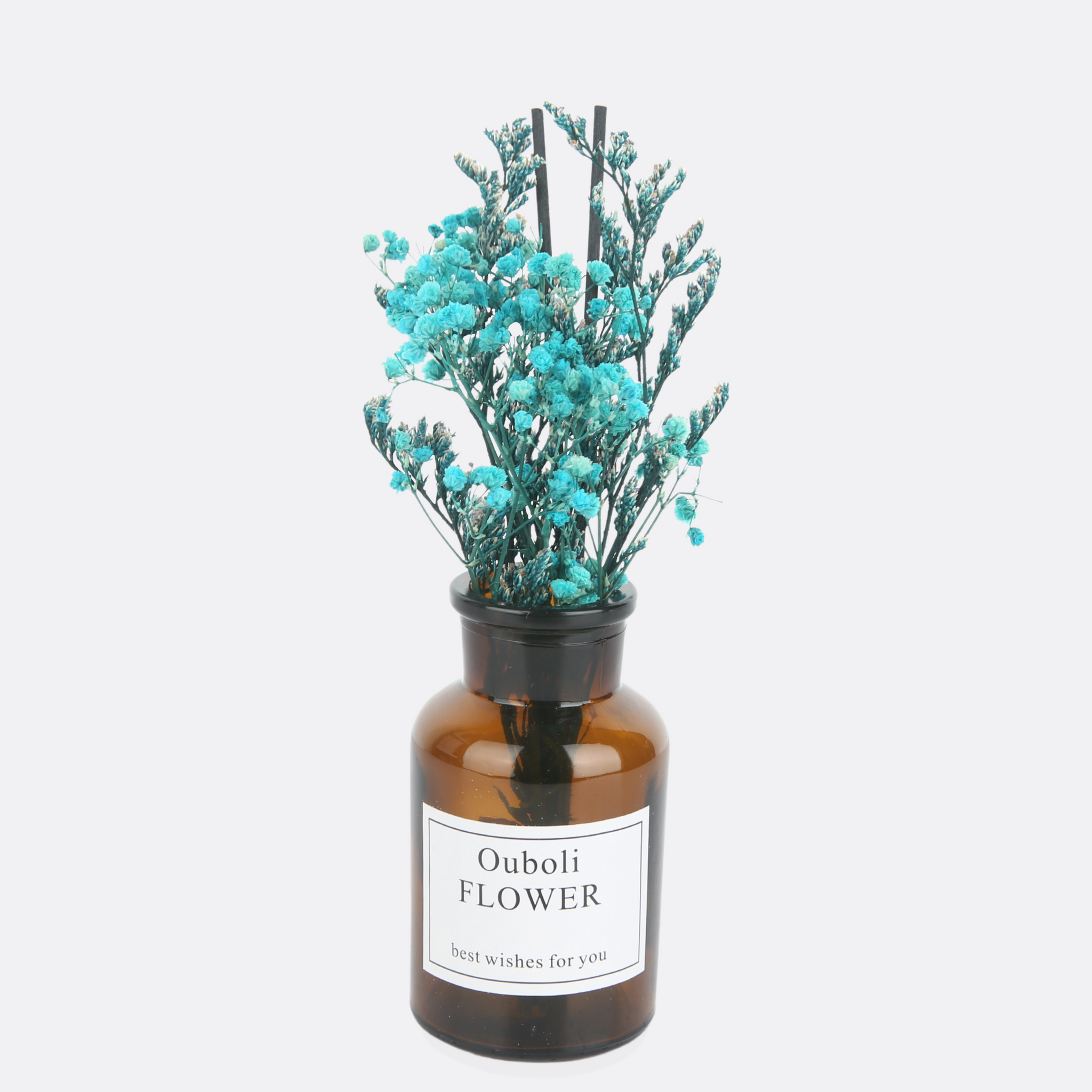 Reed Diffuser With Plant Arrangement (4 Different Scents )