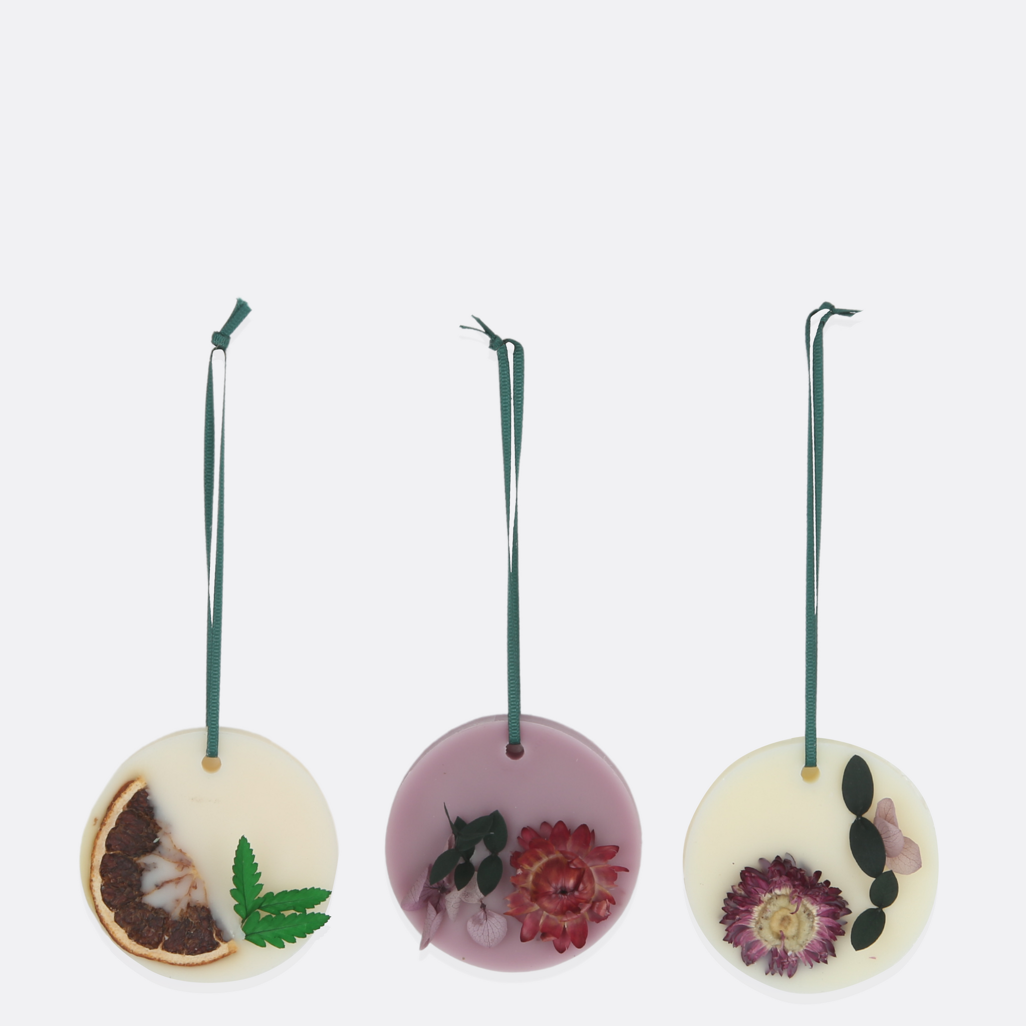 Wax Sachet Air Fresheners With Plants ( Set Of 3 )