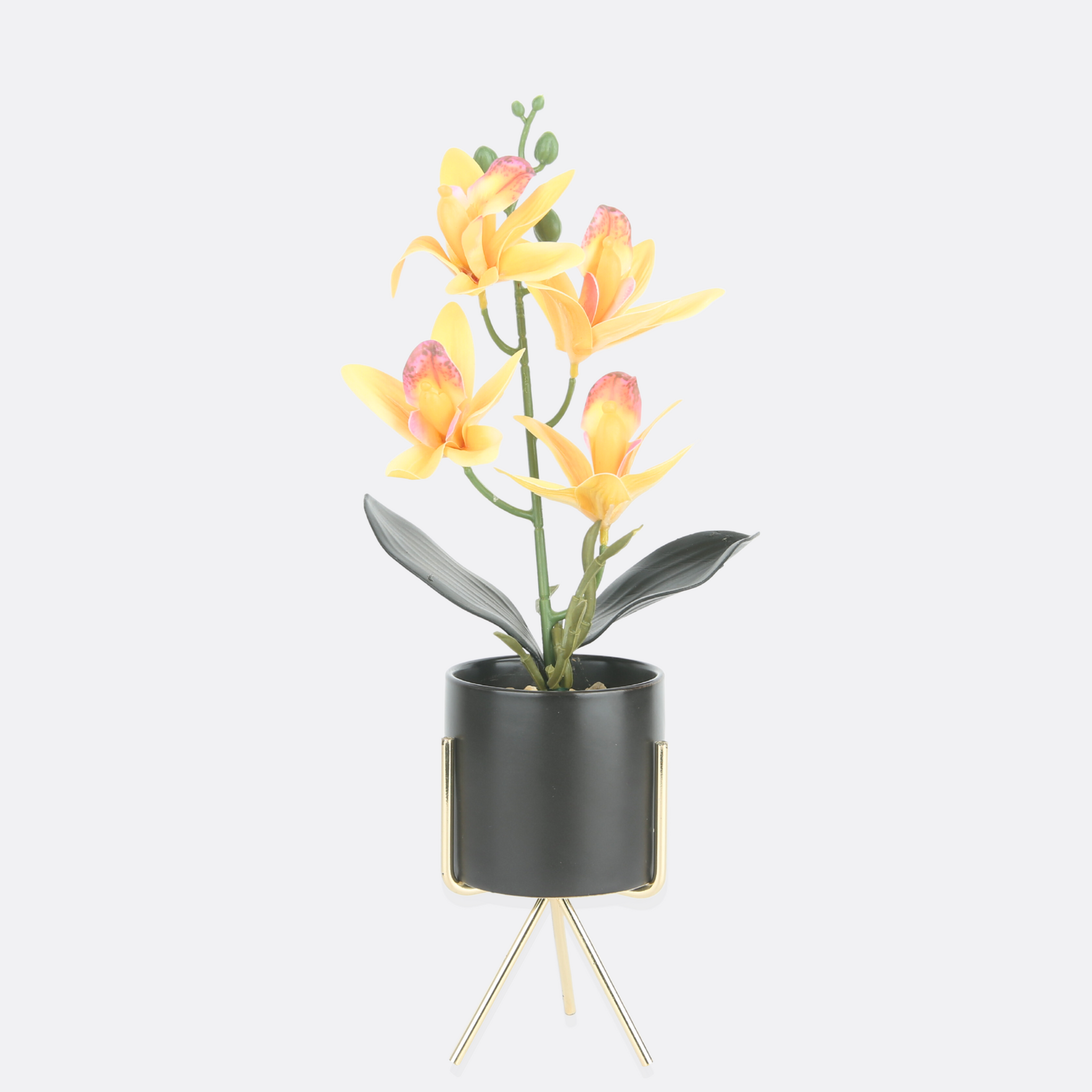Spring Planter With Pot & Stand