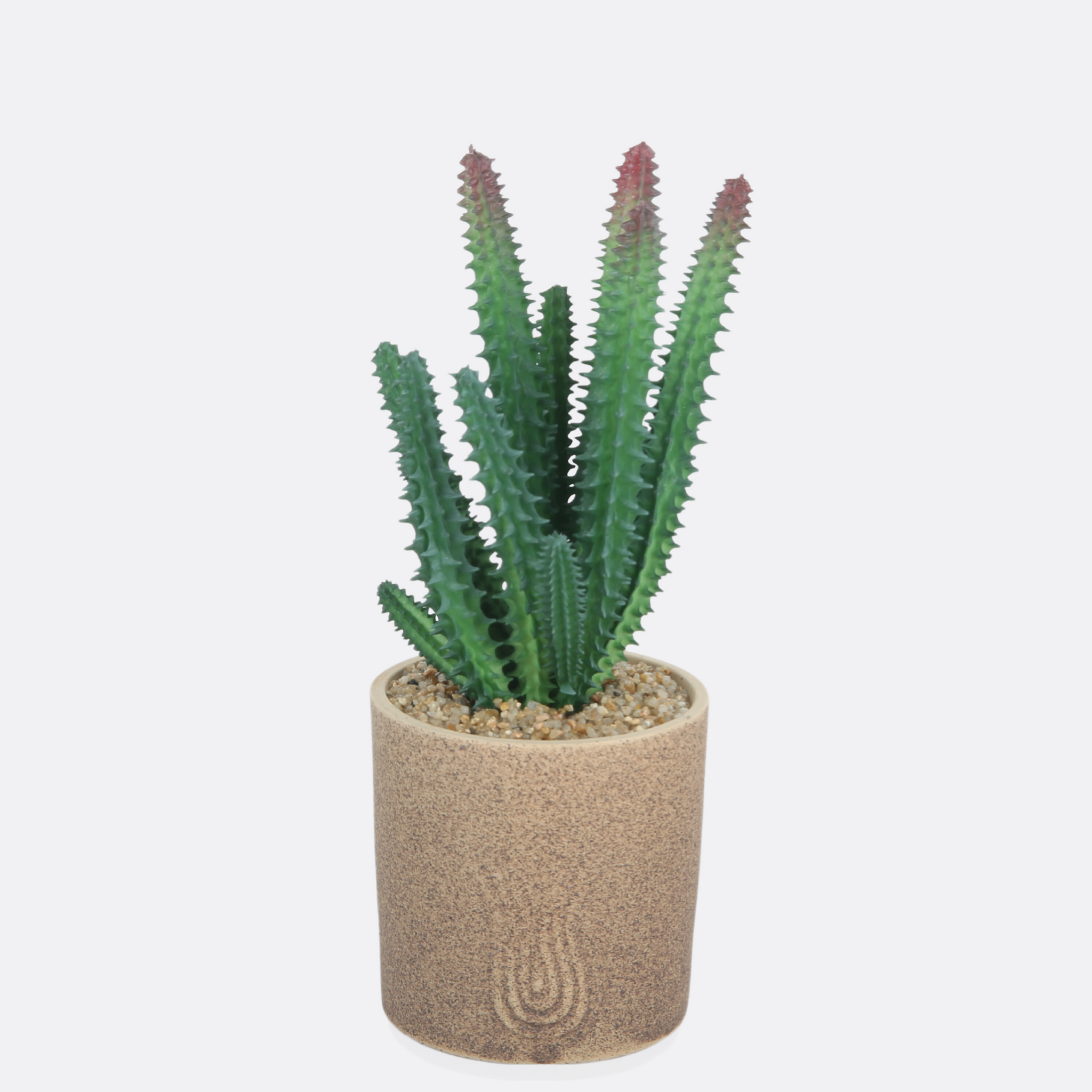 Cactus Planter With Sable Pot