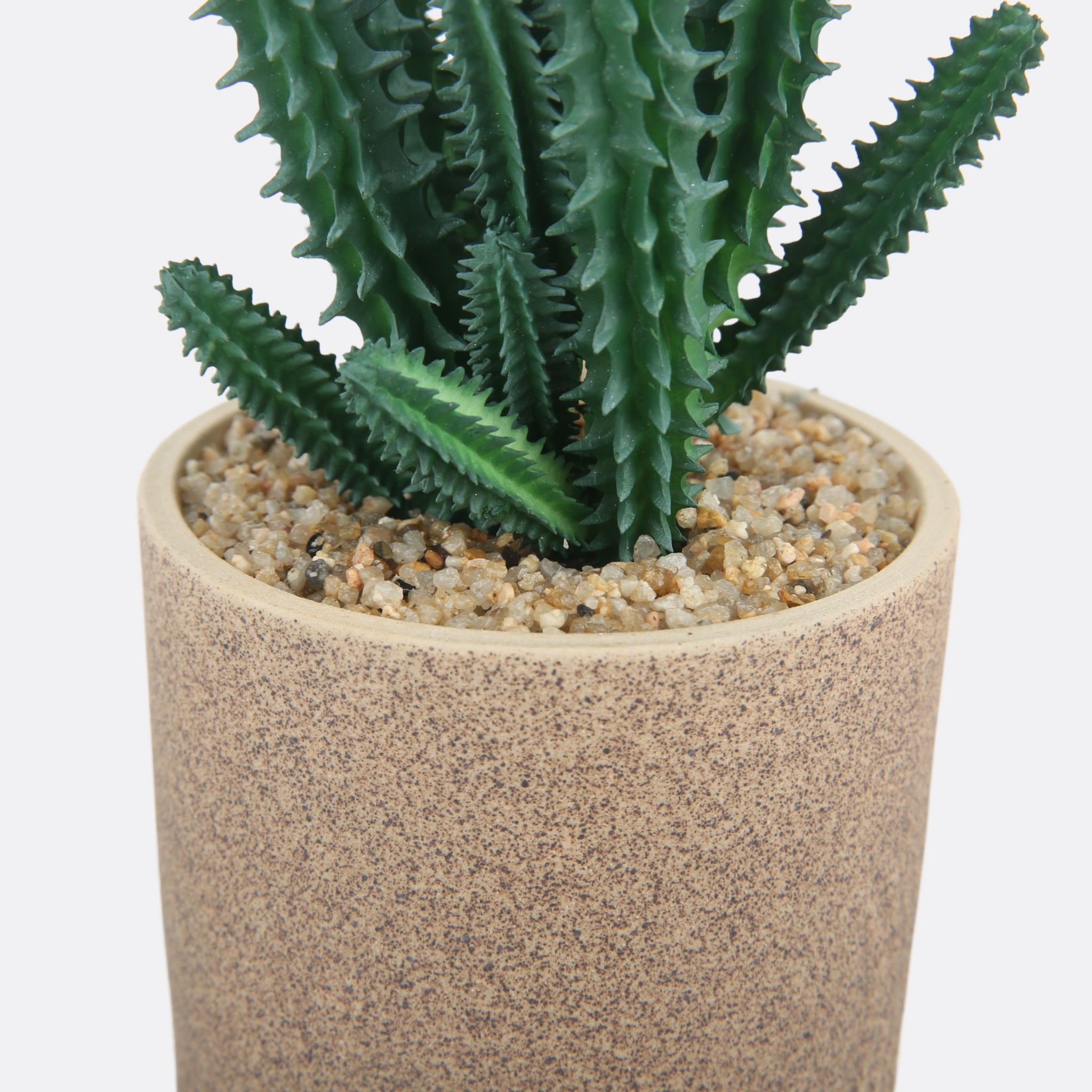Cactus Planter With Sable Pot
