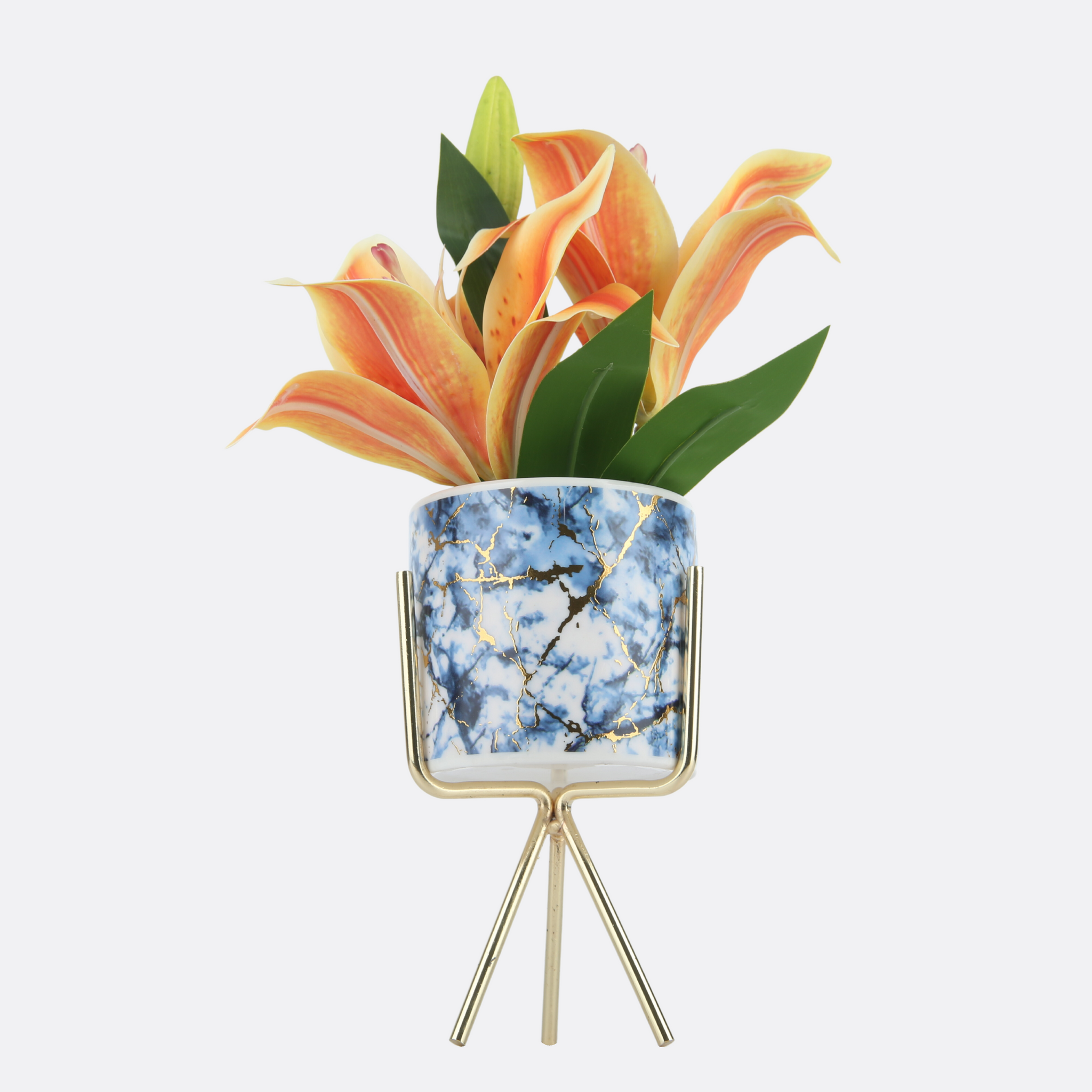Luscious Planter In Abstract Pot