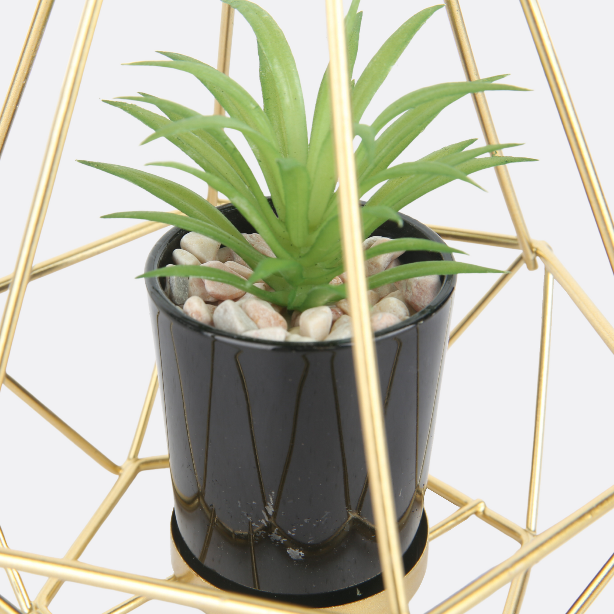 Planter With Acute Metallic Structure