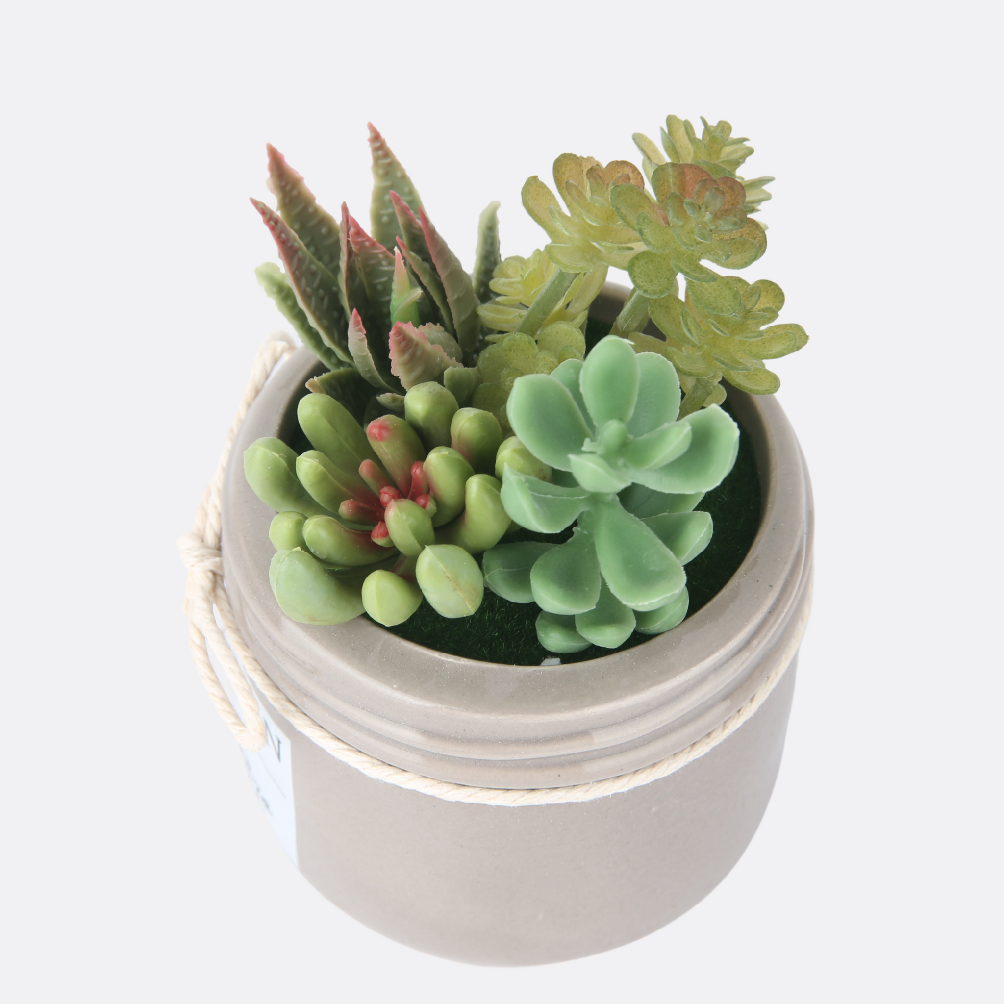 Discerning Planter With Pot