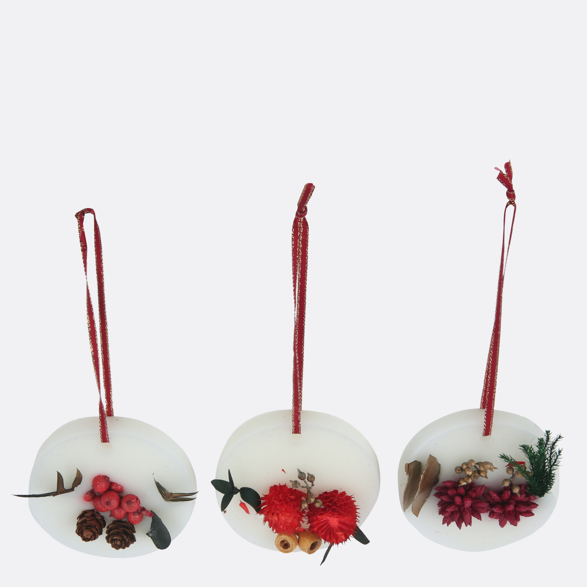 Wax Sachet Air Fresheners With Plants ( Set Of 3 )