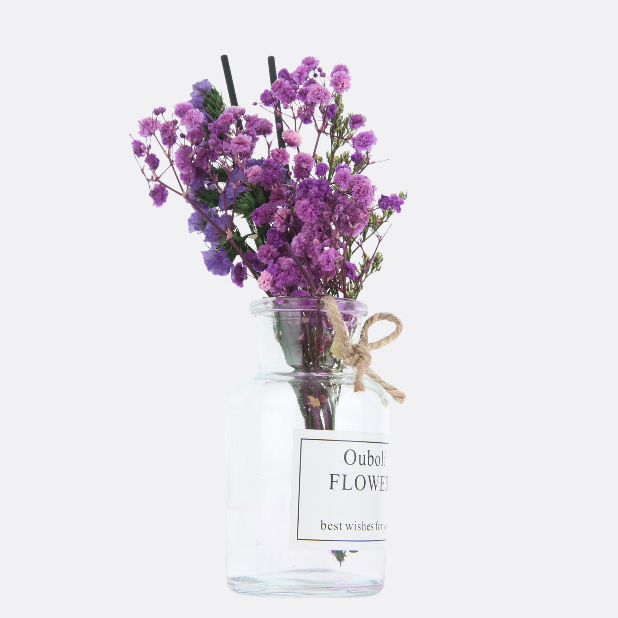 Reed Diffuser With Plant Arrangement ( 6 Different Scents )