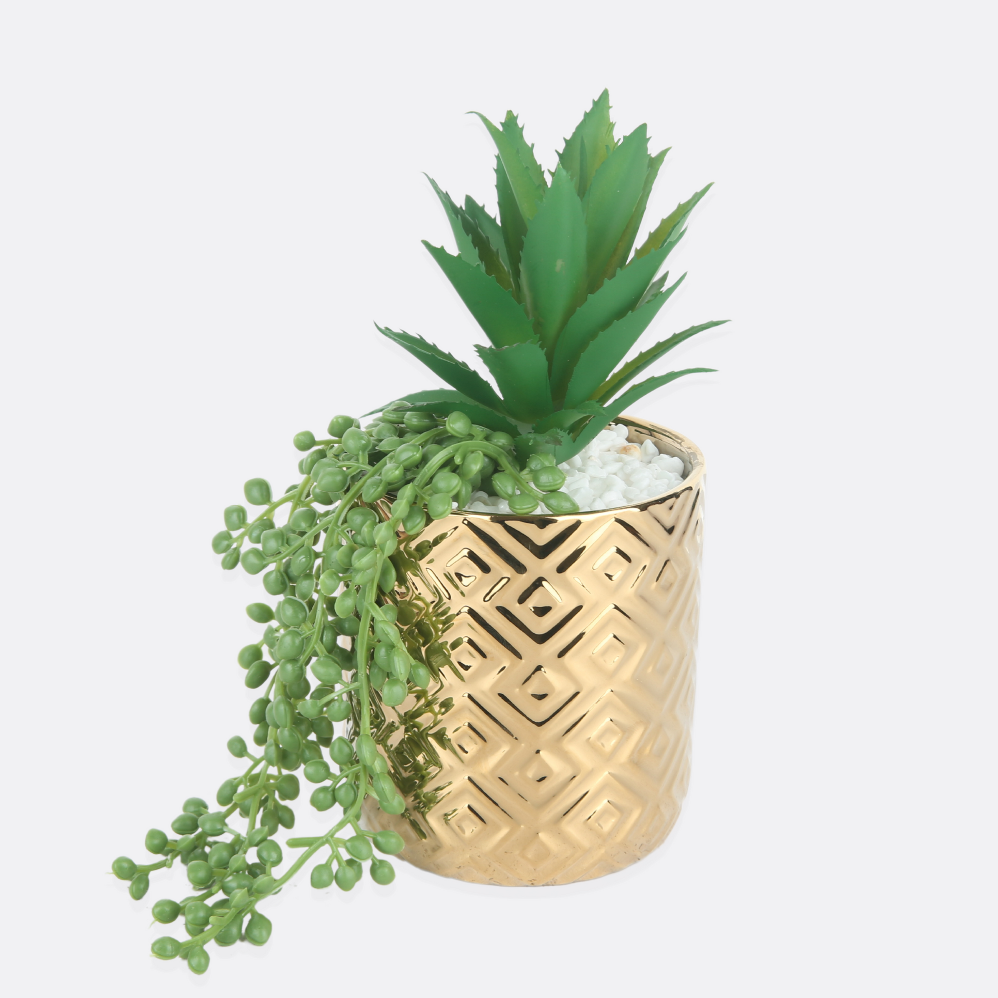 Extended ail Planter With Golden Ceramic Pot