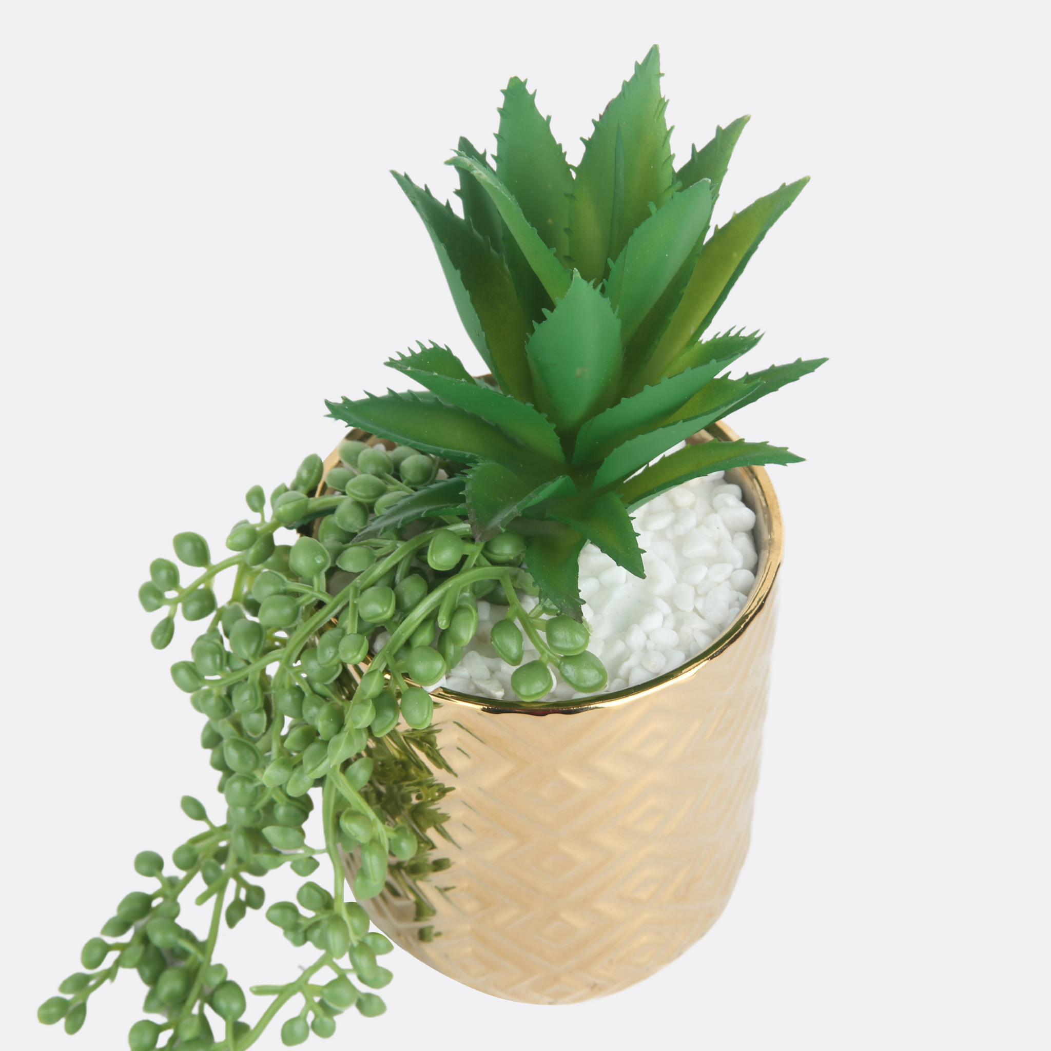 Extended ail Planter With Golden Ceramic Pot