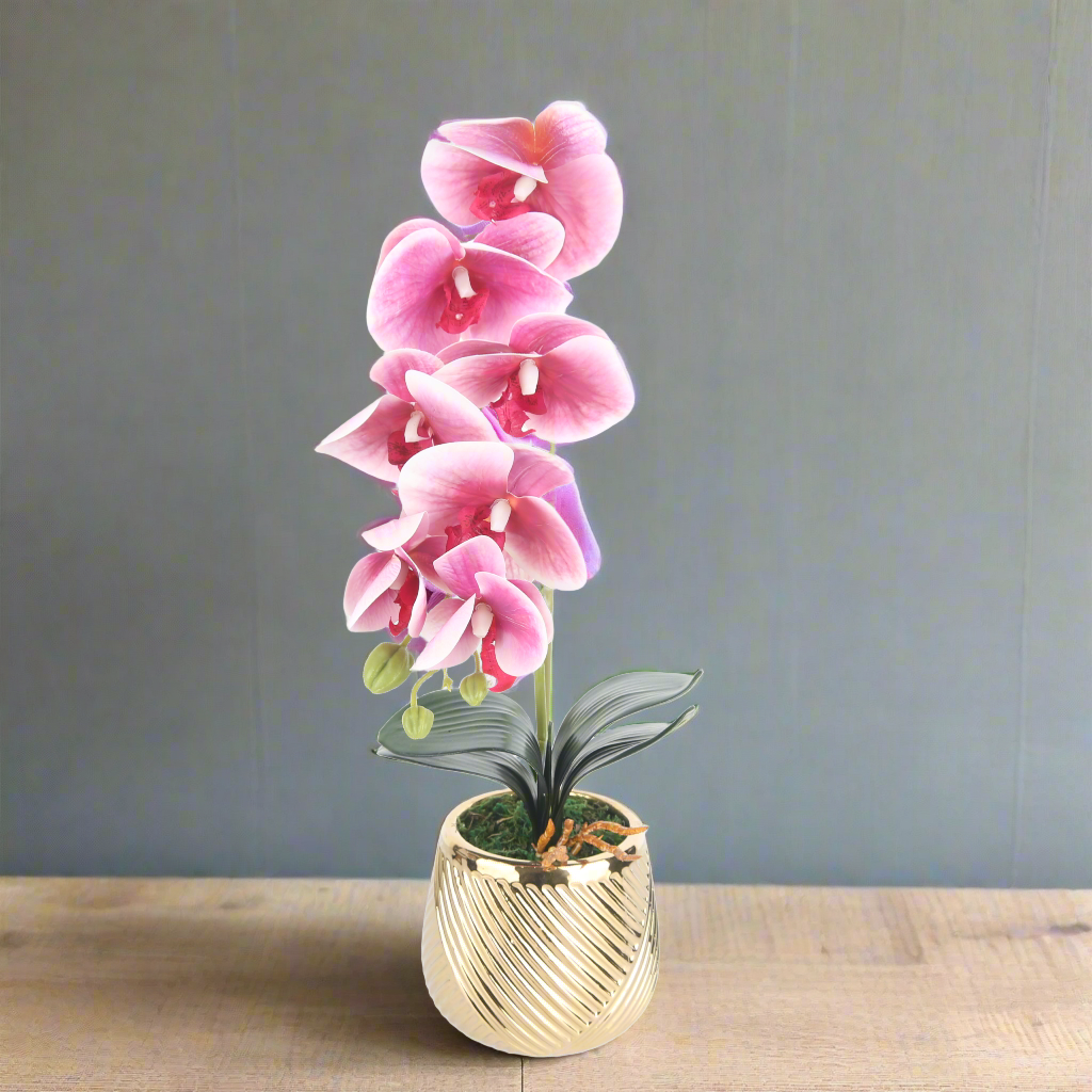 Luscious Orchard Plant In Ceramic Pot