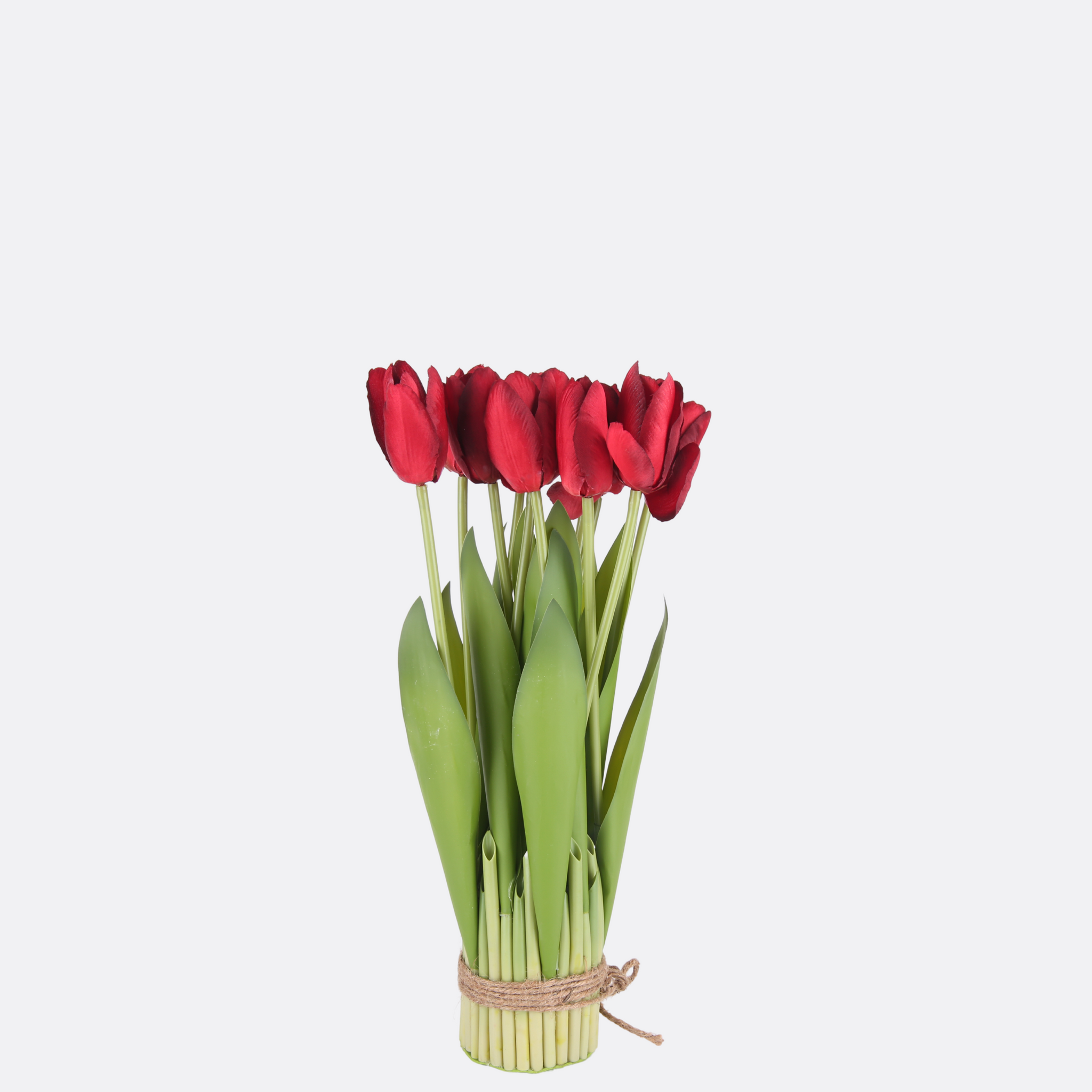 Red Tulip Arrangement