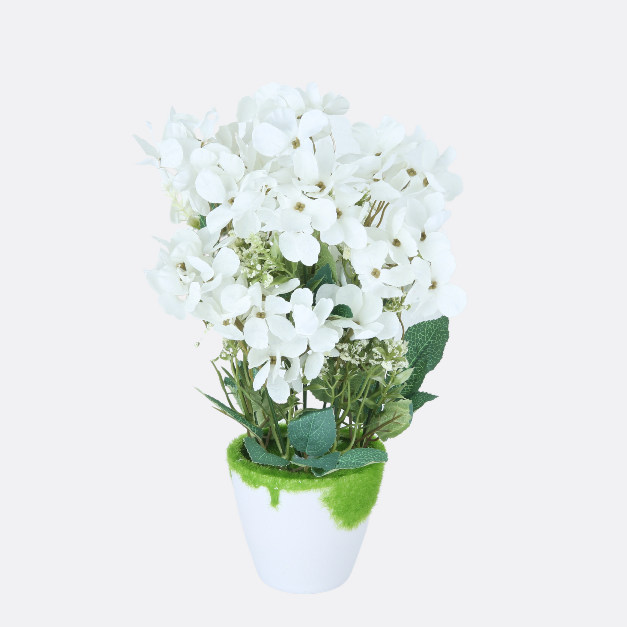Tropical Bloom Arrangement With Ductile Pot