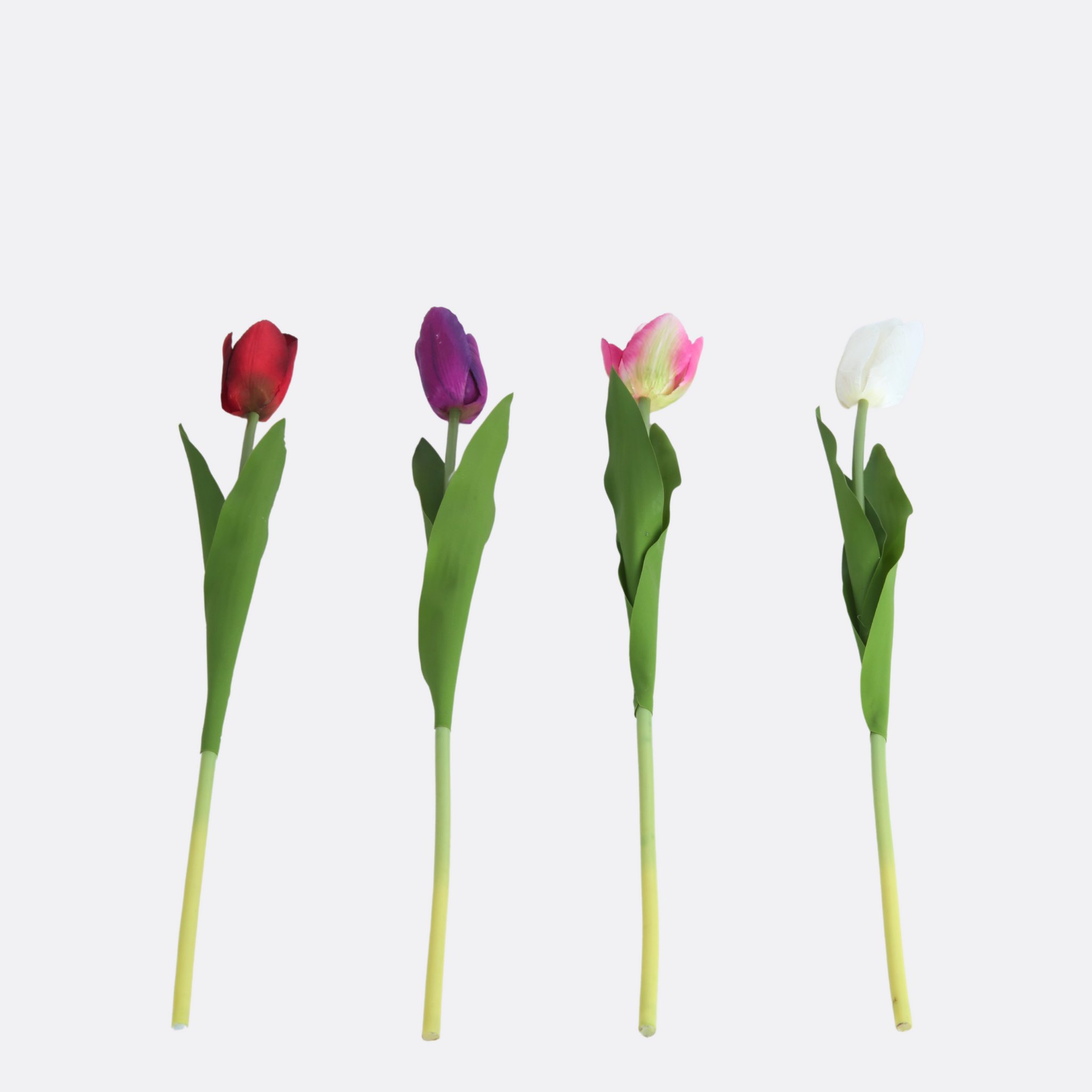 Tulip Arrangement Sticks ( 4 Colors )