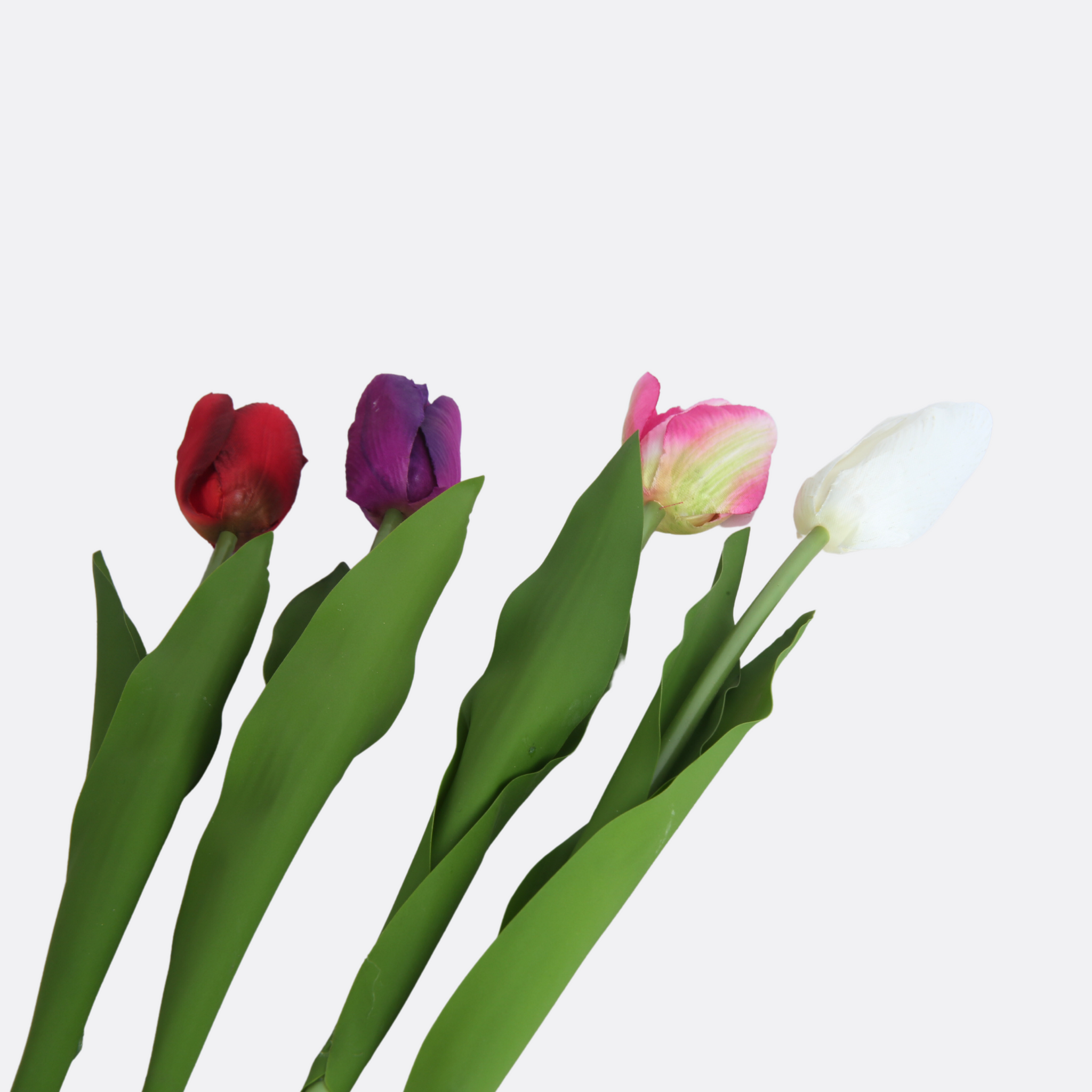 Tulip Arrangement Sticks ( 4 Colors )