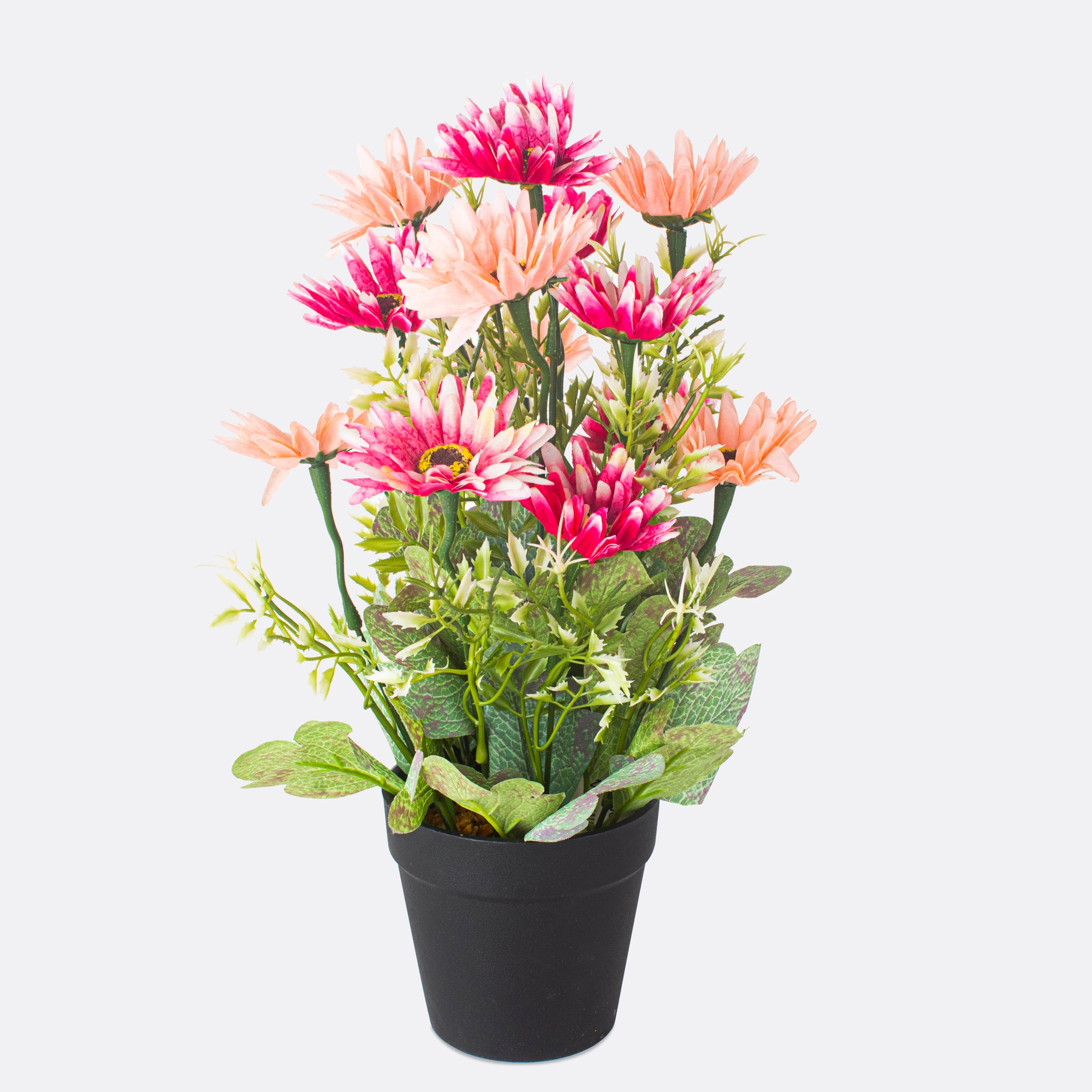 Tropical Bloom Arrangement With Ductile Pot