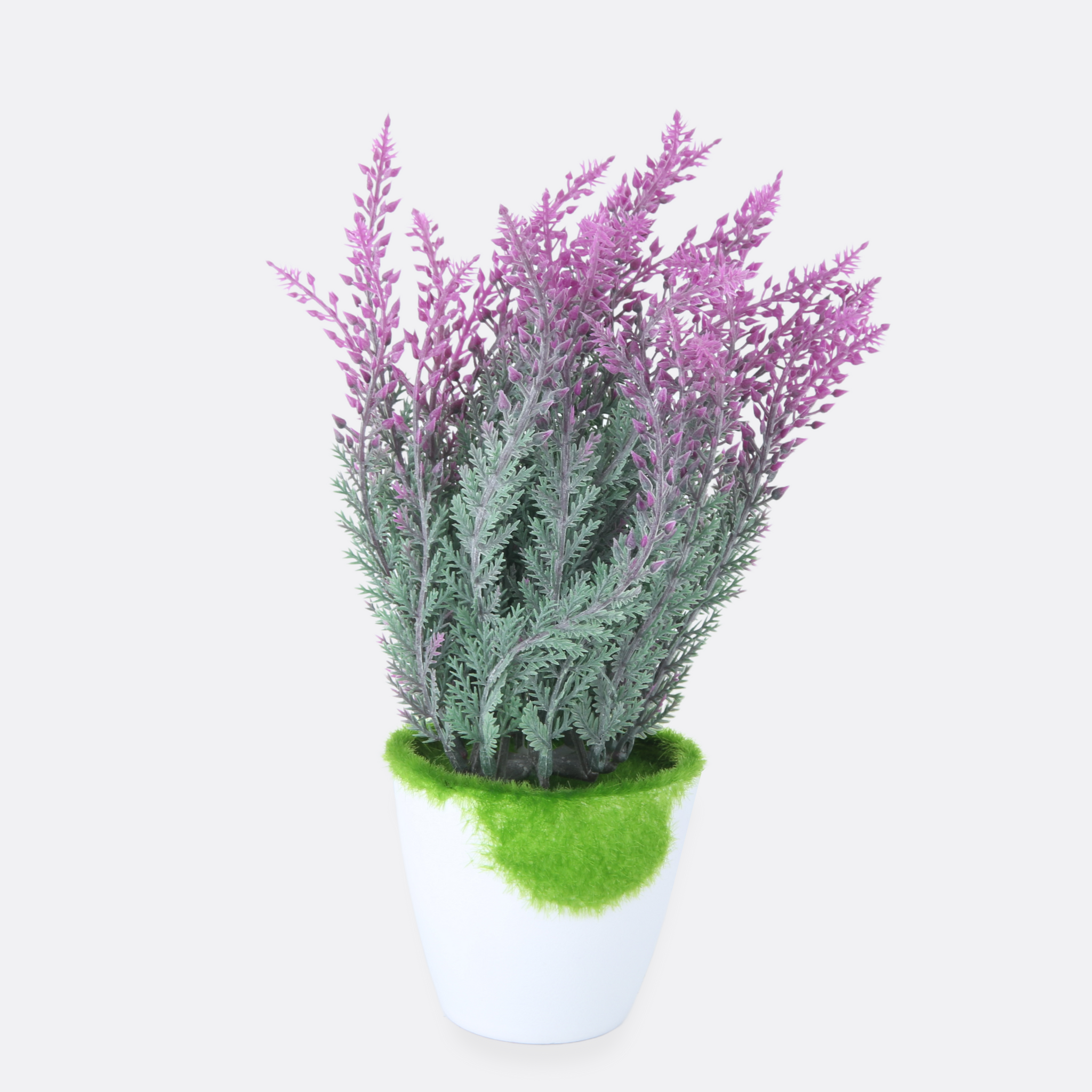 Purple Grasswork Table Plant
