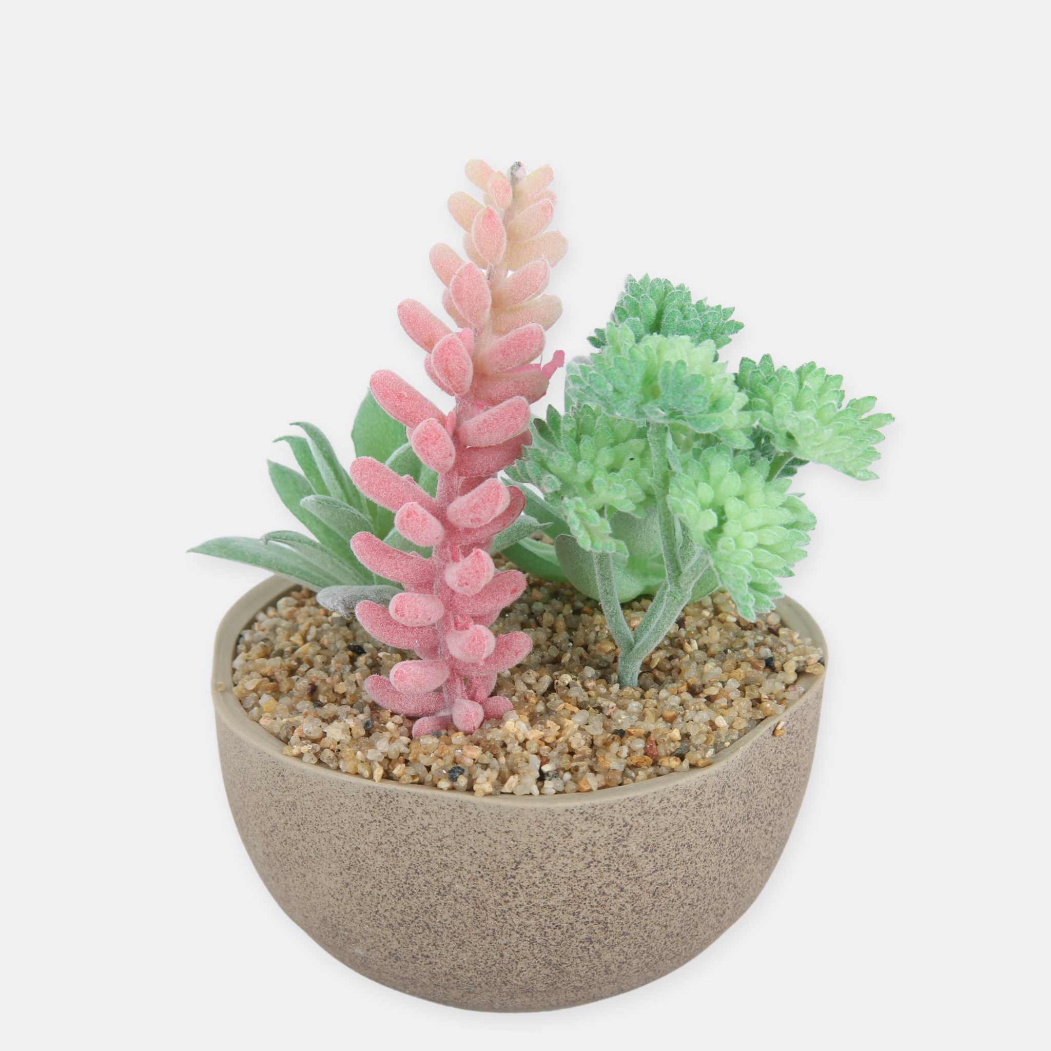 Tinge Plant Arrangement With Ductile Pot