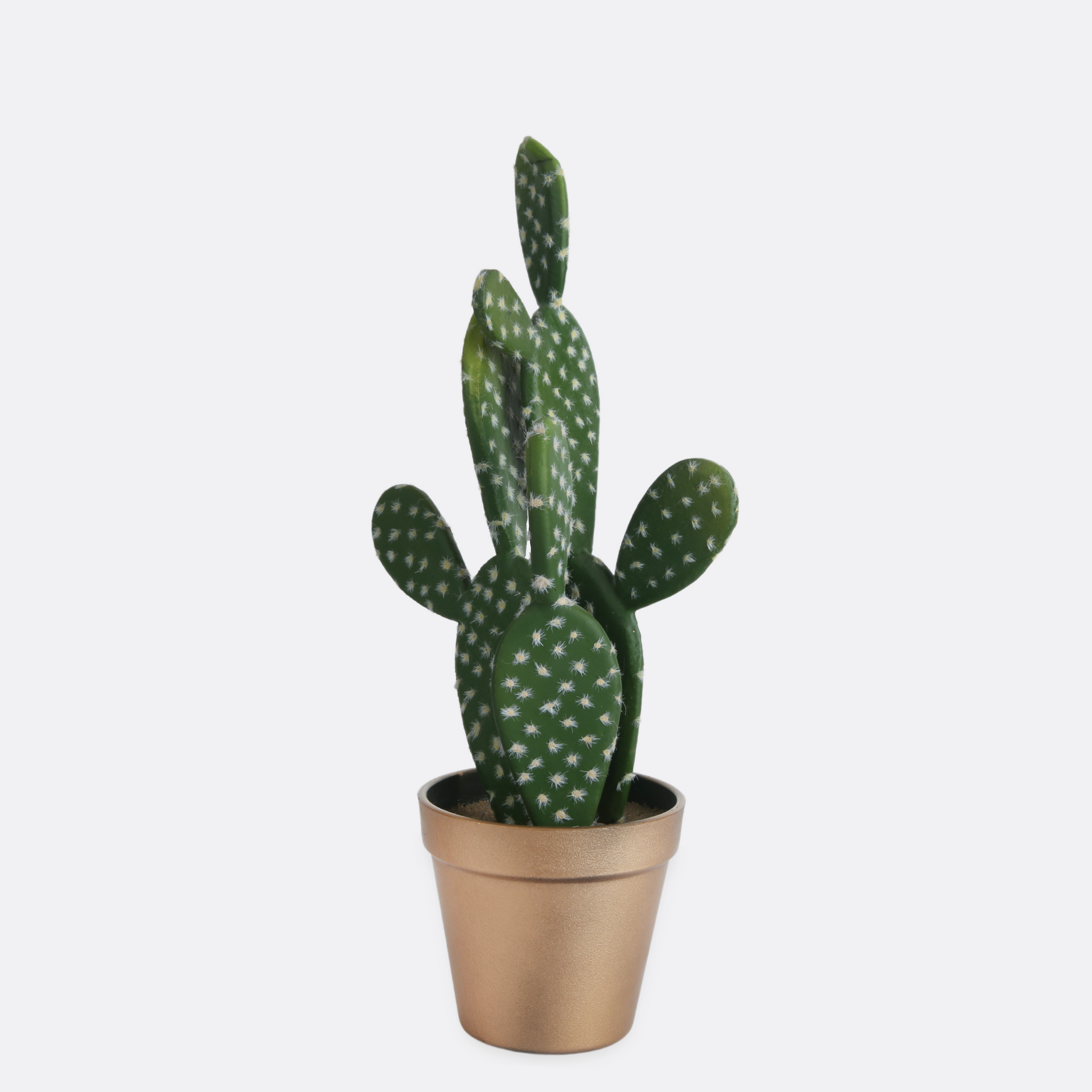 Cactus with Ductile Pot