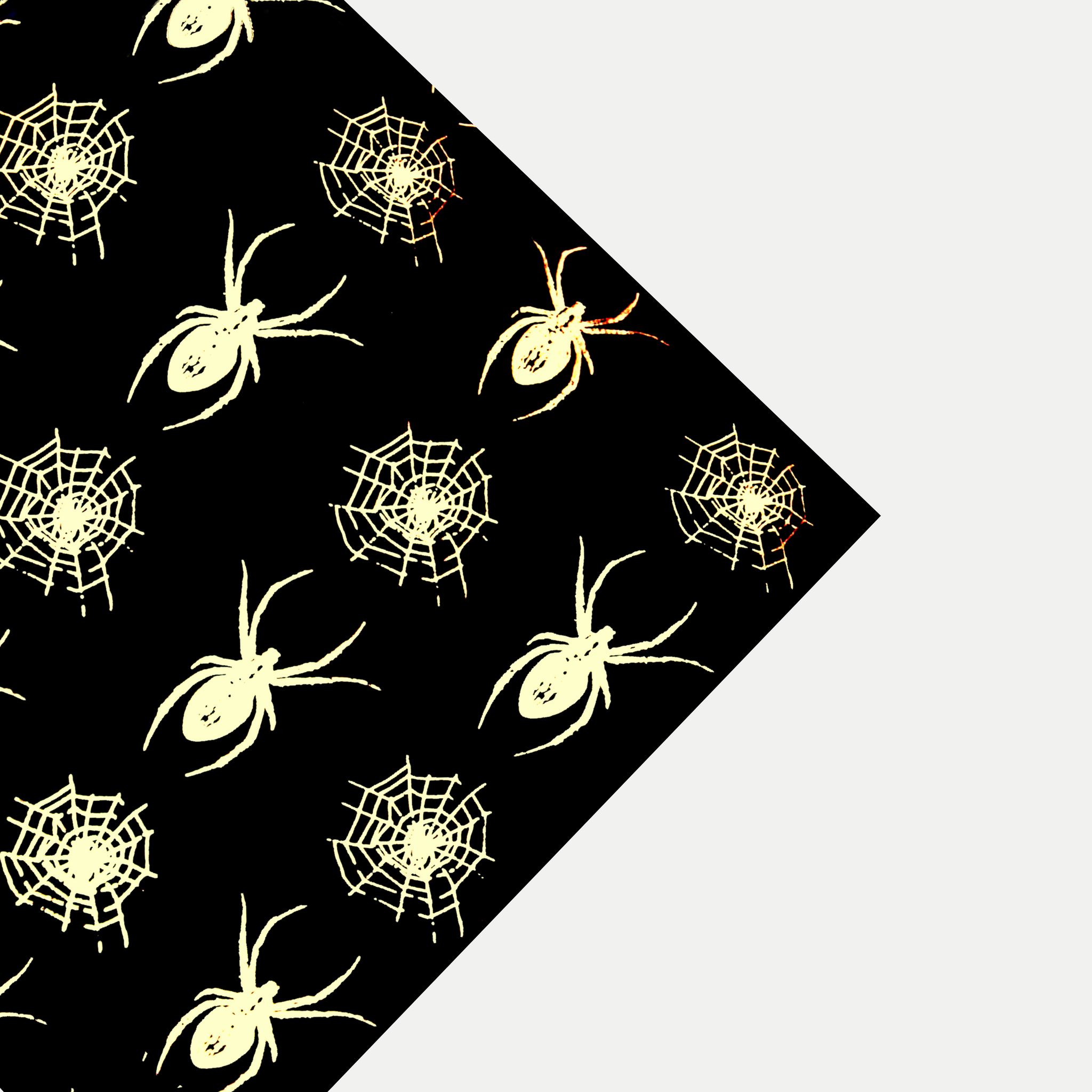 Spider Preprint Velvet Cushion Cover